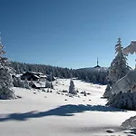 Turisticka Svycarna בקתה Loučná nad Desnou